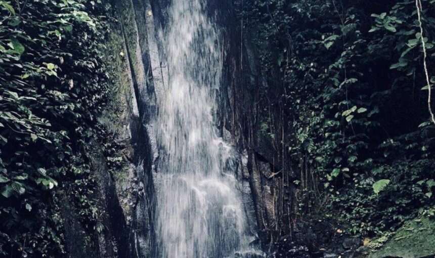 5 Things to do in Brazil