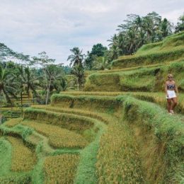 bali travel packages