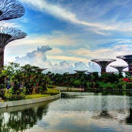 Bali & Singapore Travel Package- Gardens by the bay